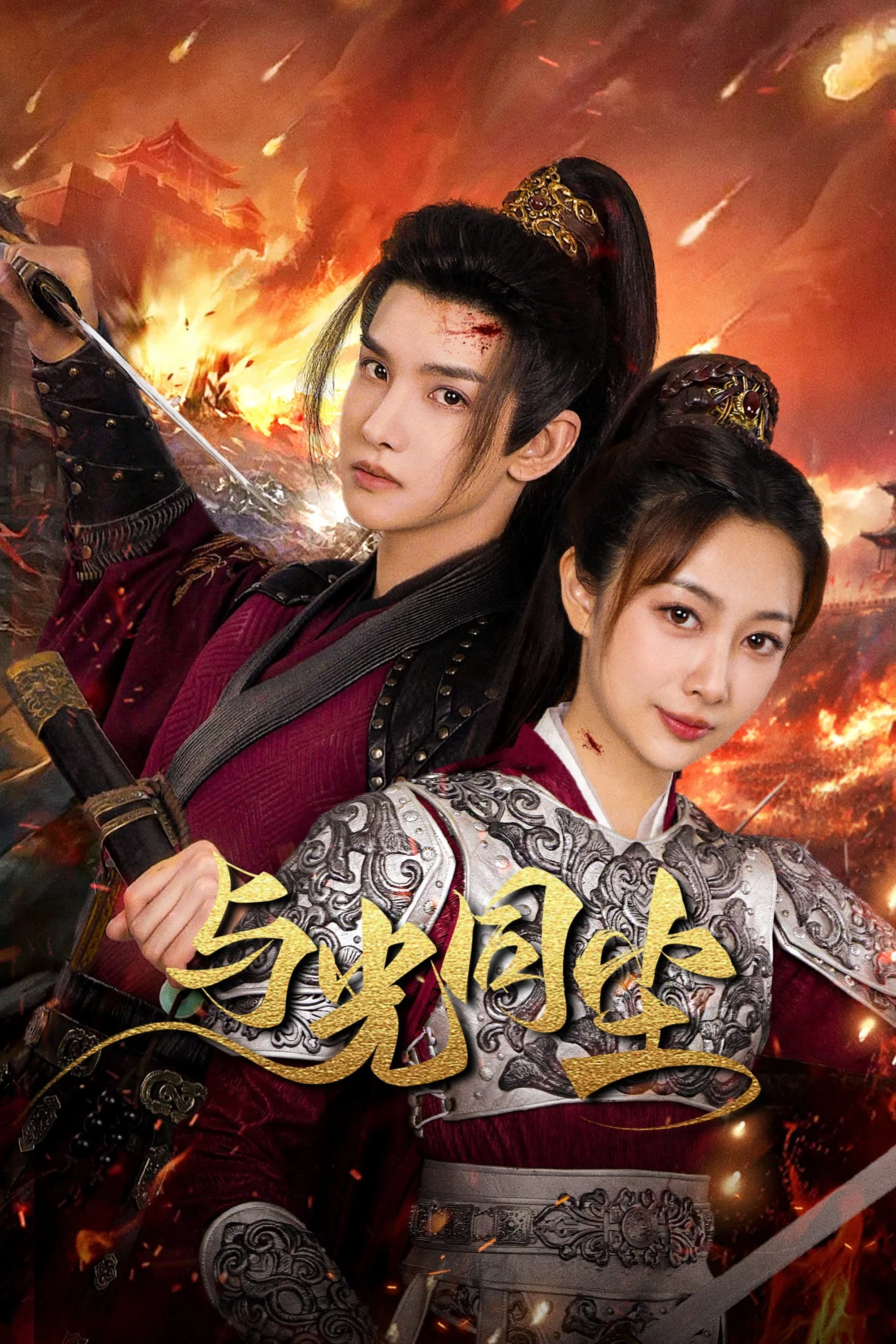 Poster phim Ánh Sáng Của Tàn Tro