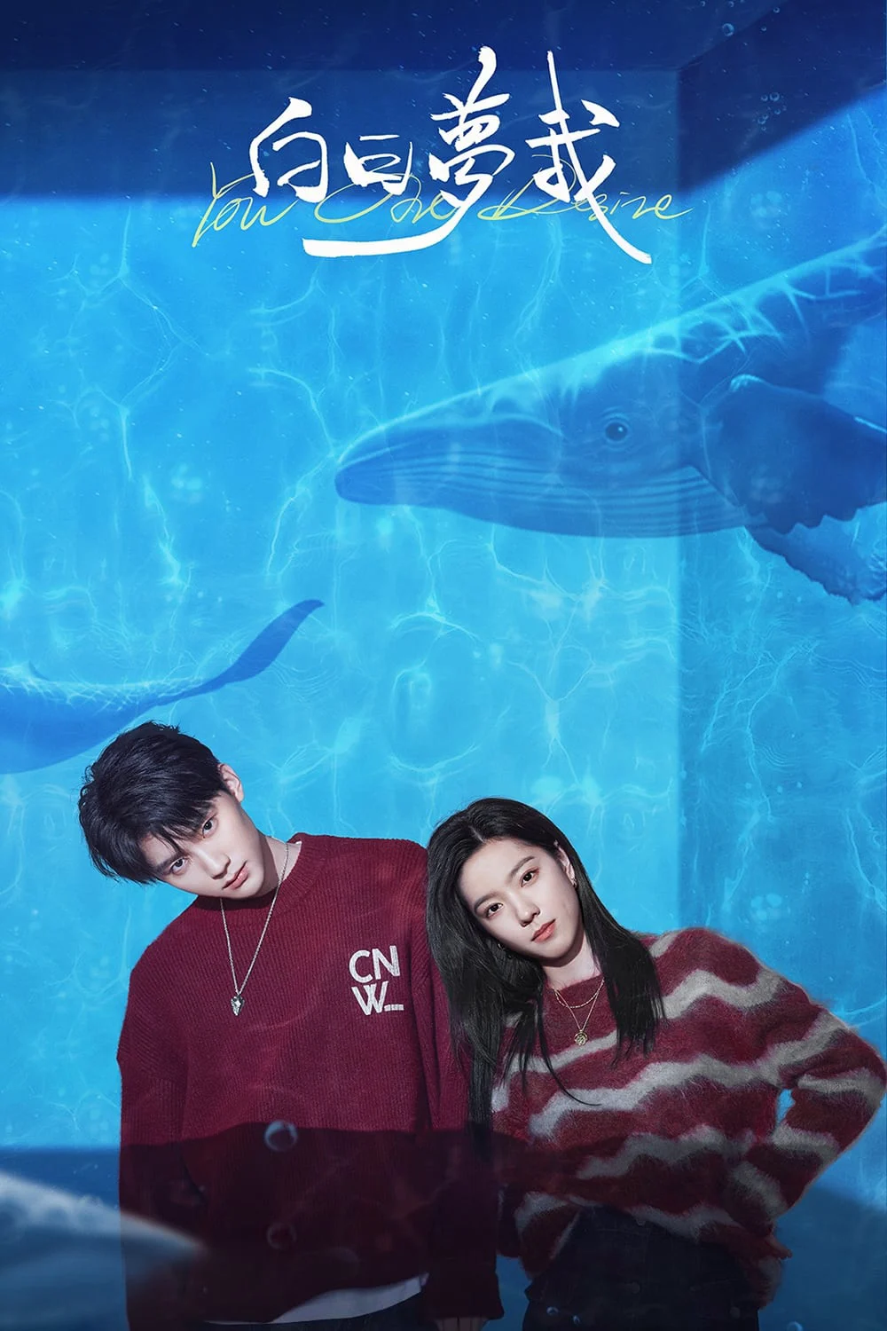 Poster phim Tôi Mộng Giữa Ban Ngày