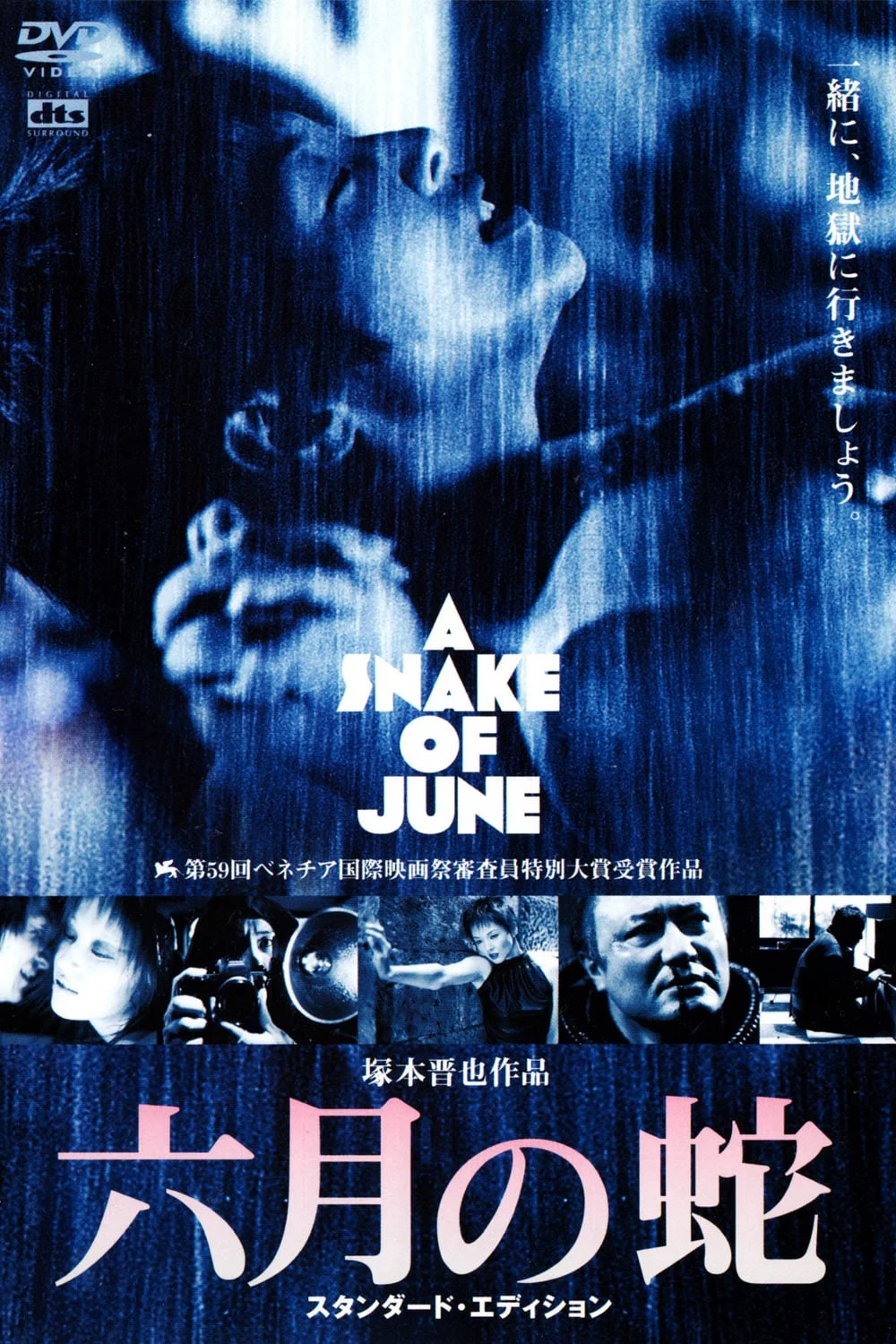 Poster phim A Snake of June