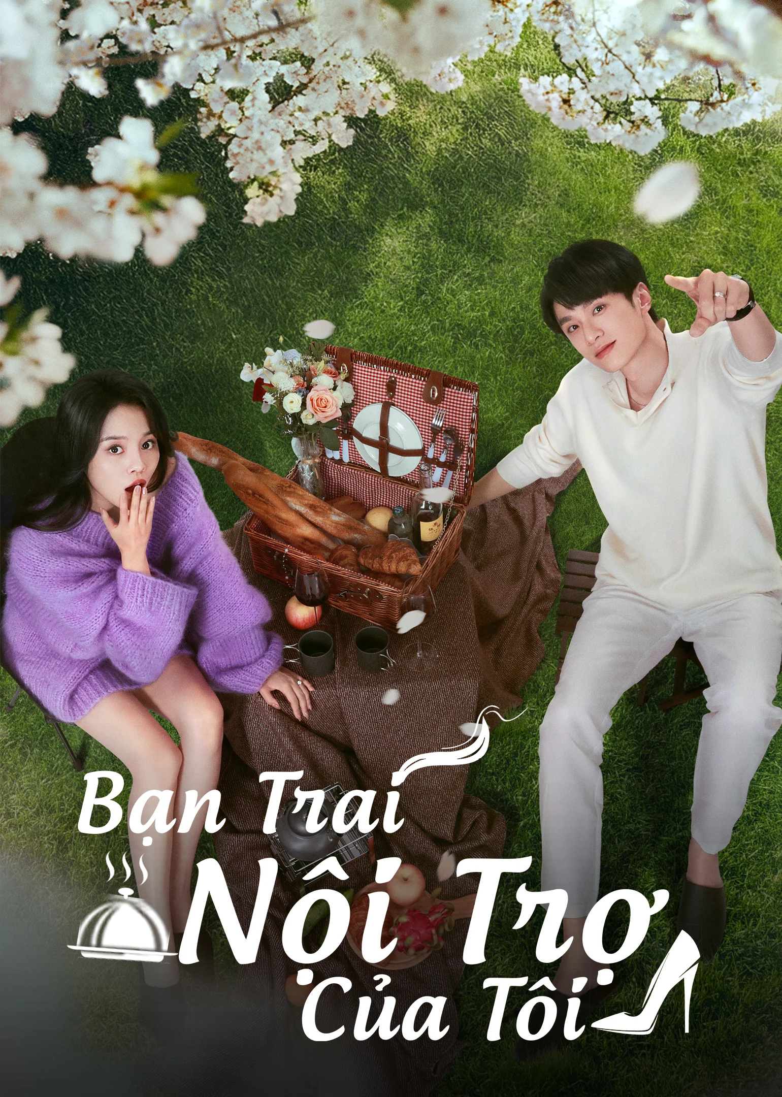 Poster phim Bạn Trai Nội Trợ Của Tôi