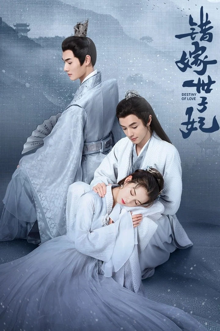 Poster phim Gả Nhầm Thế Tử Phi