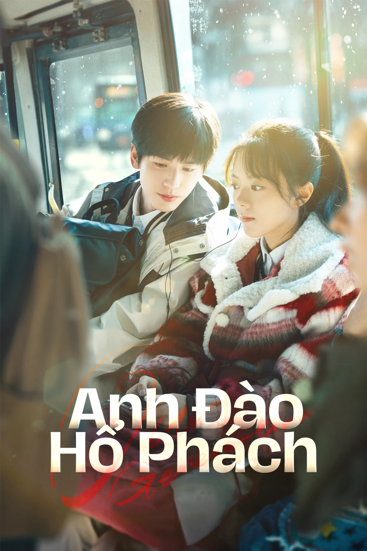 Poster phim Anh Đào Hổ Phách