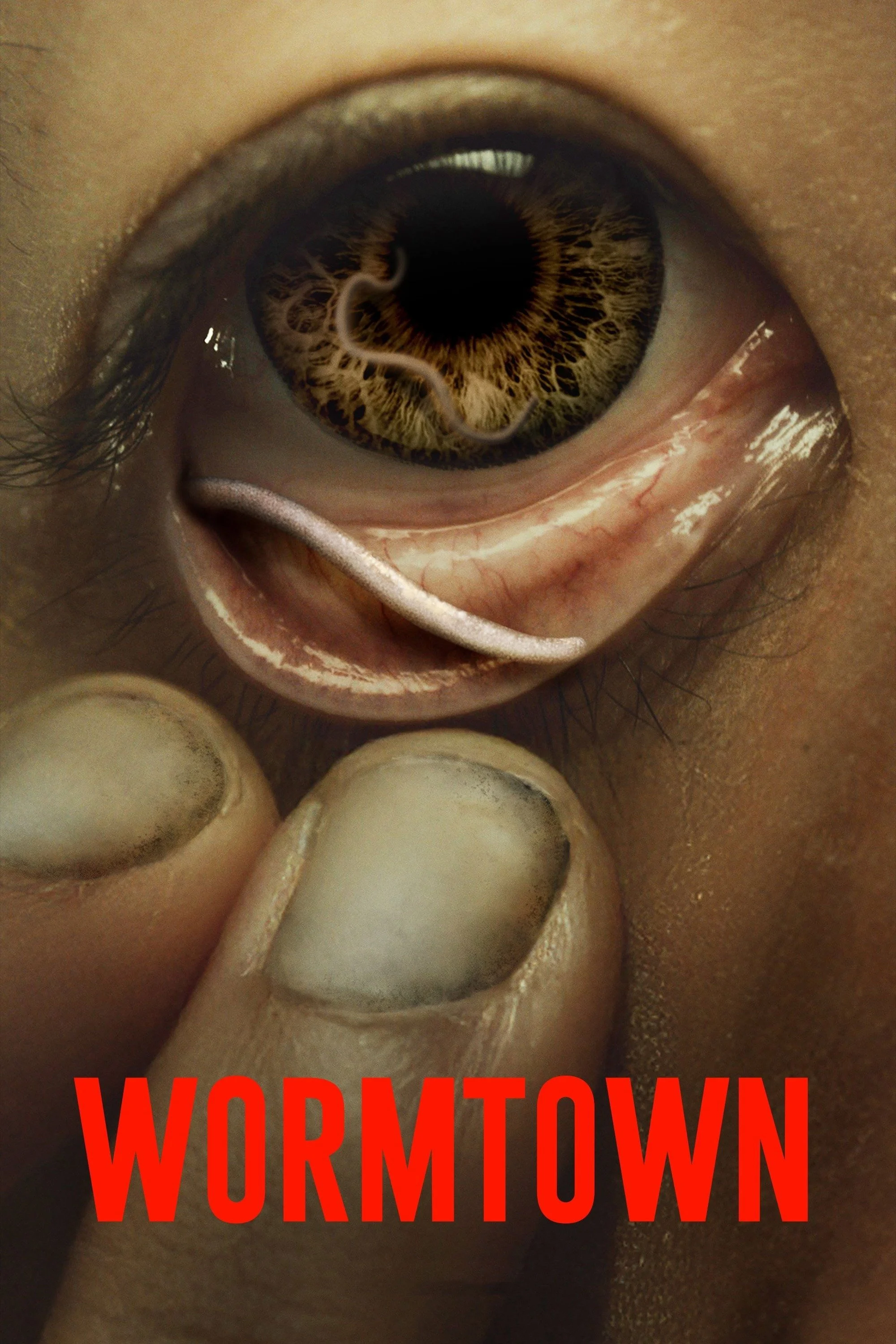 Poster phim Thị trấn giun đất